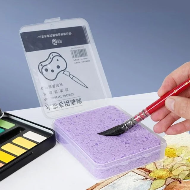Watercolor Painting Cleaning Sponge Set